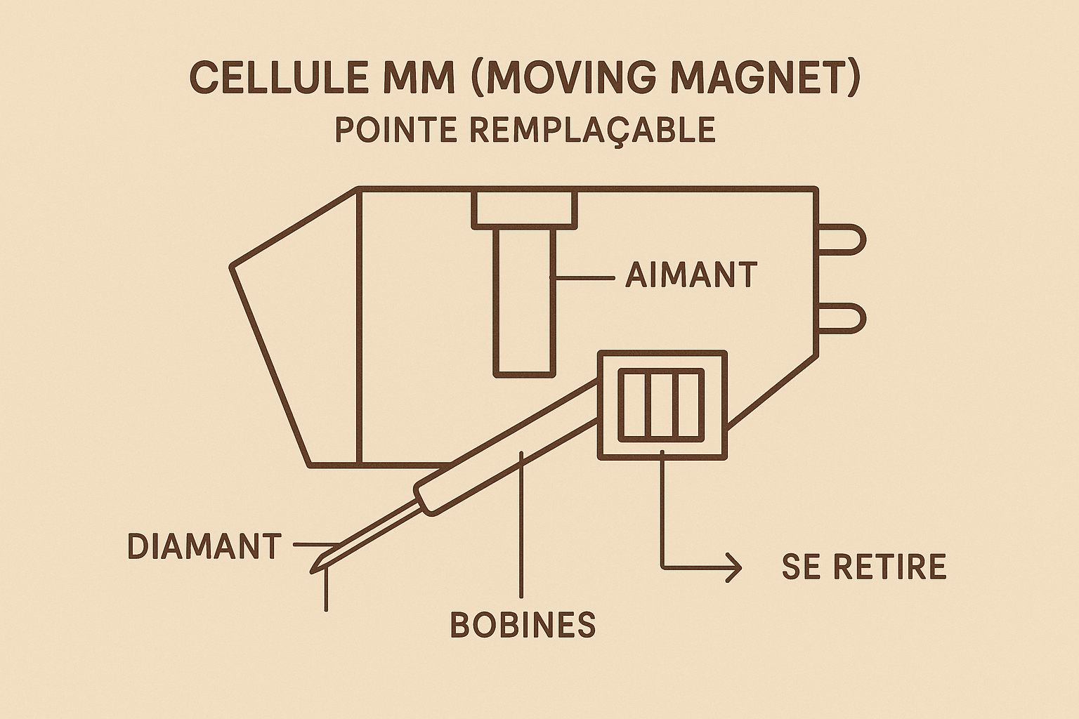 Cellule de platine MM ou MC ? Comment savoir, sans se prendre la tête